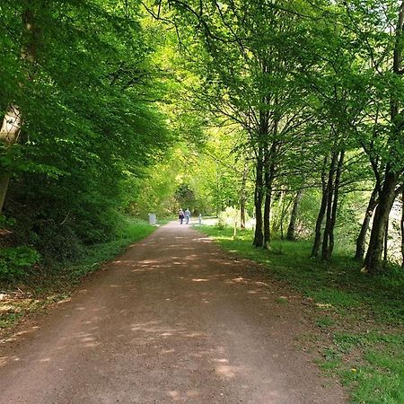Ferienwohnung Am Saarweg Merzig Zewnętrze zdjęcie